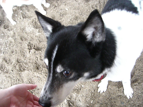 f0108553_20293745.jpg