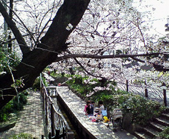 d0039560_08688.jpg
