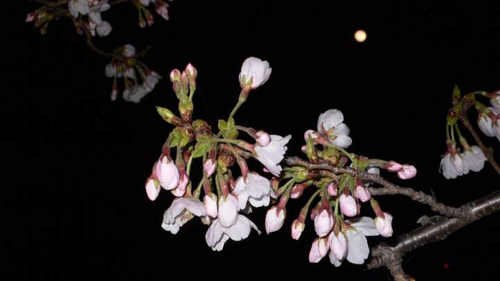 e0019563_23461779.jpg