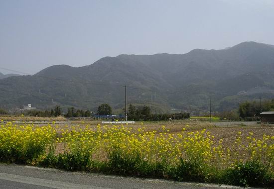 近況と北九州の旅の思い出_b0033169_2383385.jpg