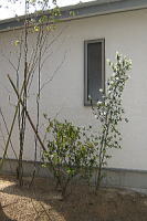 f0047576_1657504.jpg