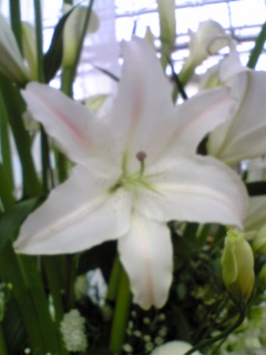 e0046477_10494532.jpg