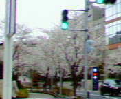 e0028279_2285548.jpg