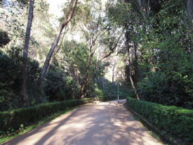 c0105386_834237.jpg