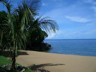 c0000088_21505489.jpg
