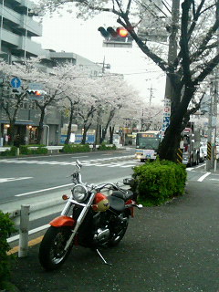 f0024694_18339.jpg