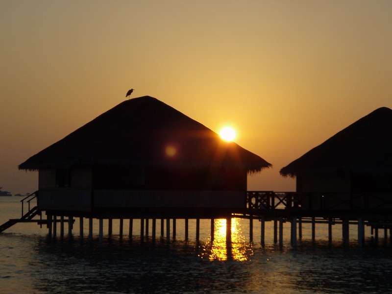 d0039999_2242010.jpg