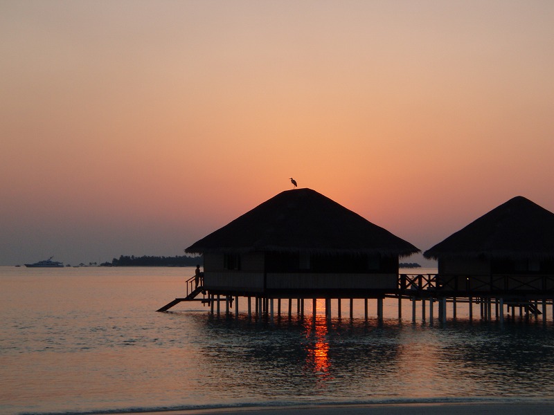 d0039999_22454358.jpg
