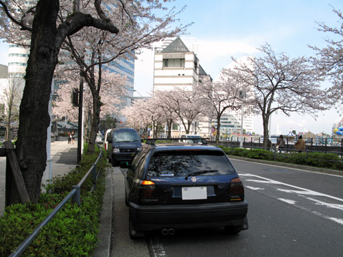 なんちゃって桜紀行2007　#5_b0060402_22182130.jpg