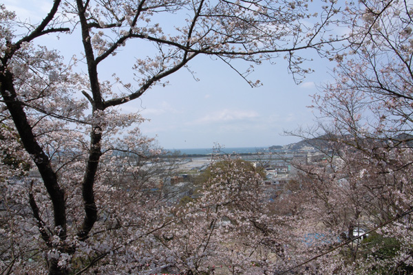 b0043304_22154039.jpg