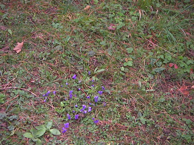 f0038407_03205.jpg