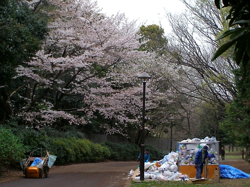 練馬の春はね♪_b0067012_12531677.jpg