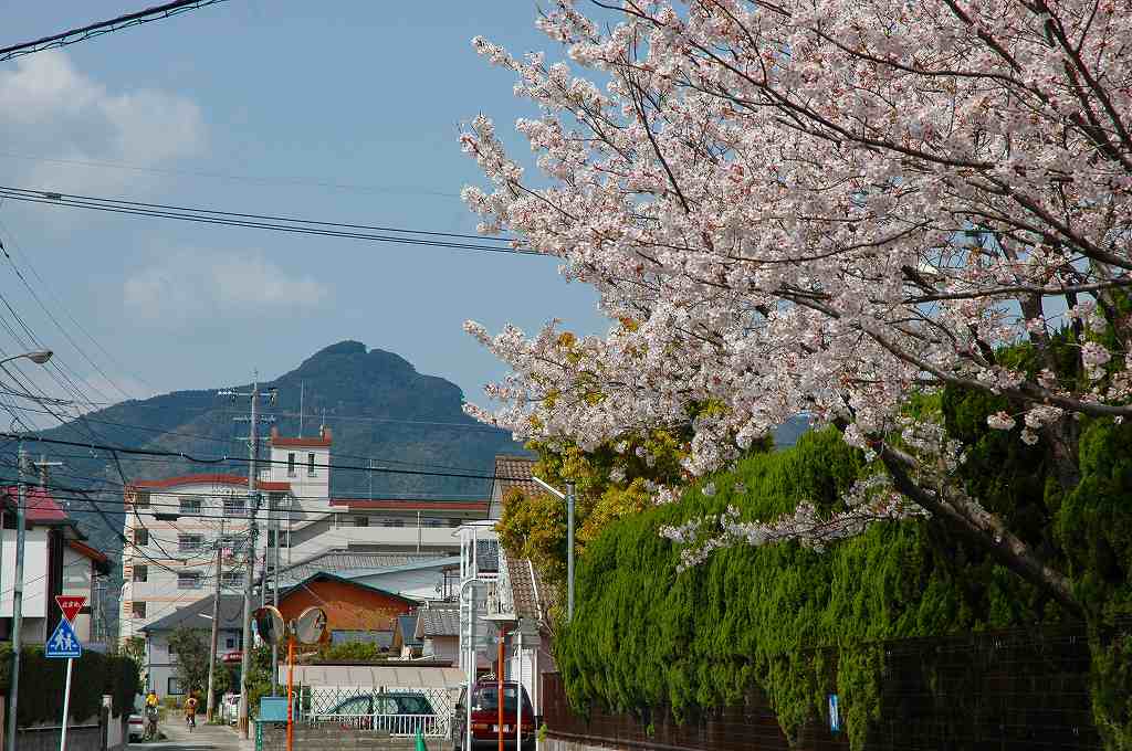 飯盛山をバックに桜を写す_f0083614_22194963.jpg