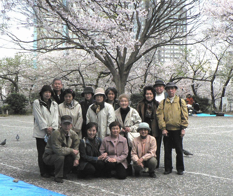 桜のはしご（その４）_c0044021_21363180.jpg