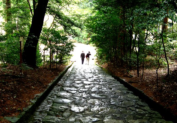 河内長野市の観心寺！_f0031423_622267.jpg