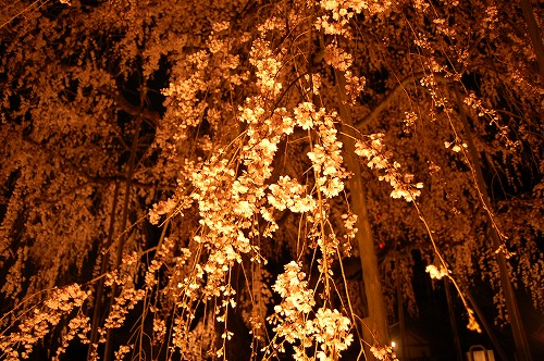 b0097729_075256.jpg