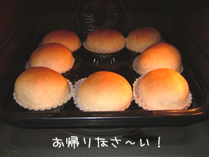 d0093433_9131320.jpg