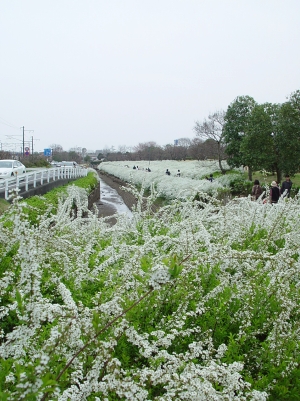 f0060535_12036.jpg