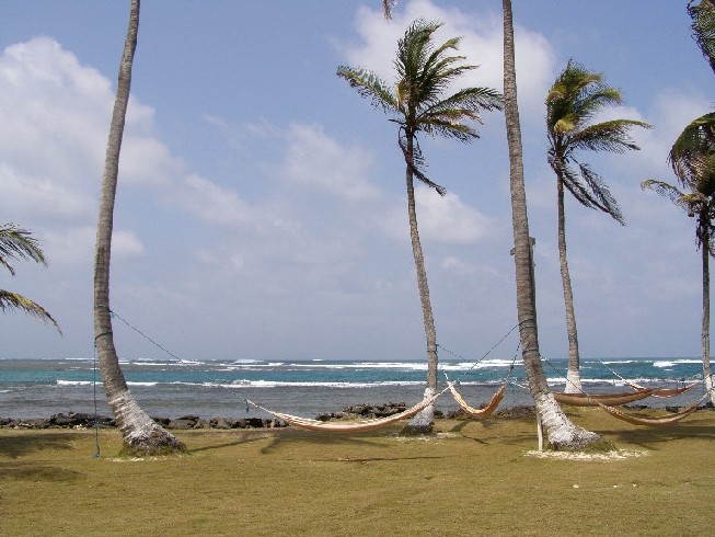c0051938_16411983.jpg