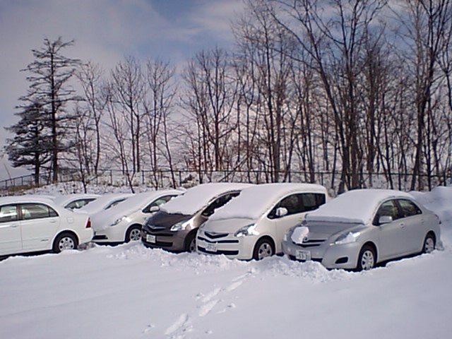 春 雪_f0113639_11165414.jpg