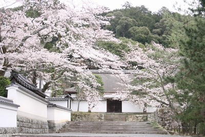 南禅寺　雨上がり。_d0070641_2183768.jpg