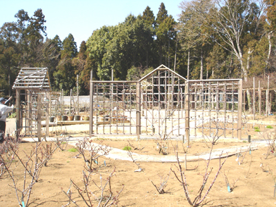 草ぶえの丘ローズガーデン ツアー_a0094959_23193382.jpg