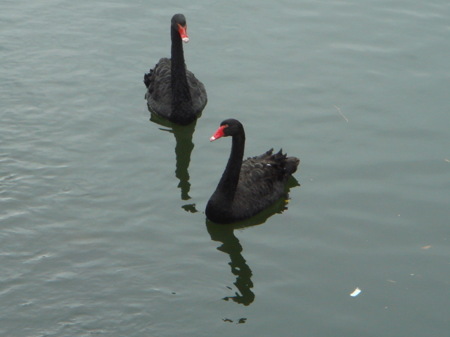 c0108460_1344461.jpg