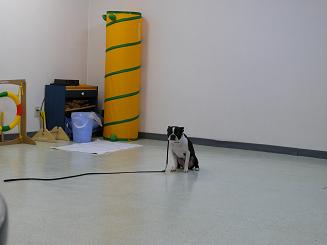 f0110861_21291929.jpg