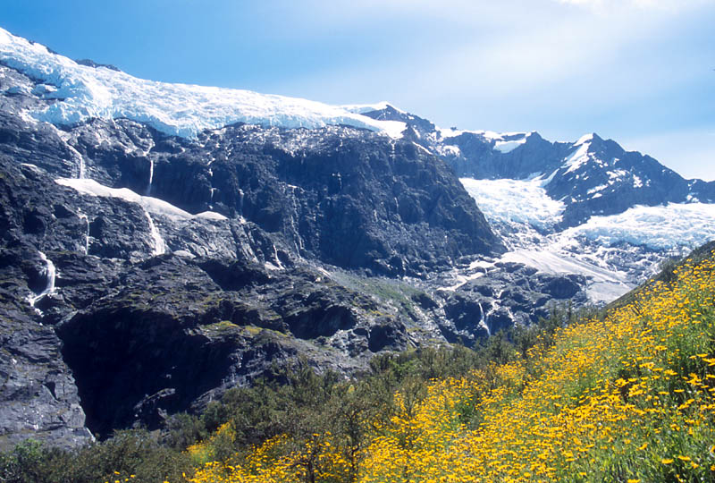 ロブロイ氷河 - Rob Roy Glacier -_e0110874_22572329.jpg