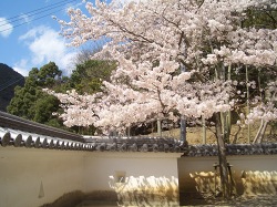 青春18きっぷの旅　兵庫県　龍野_f0118282_803340.jpg