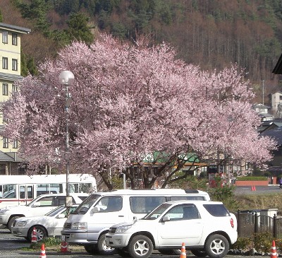f0125182_17234858.jpg