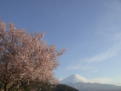 f0125182_17235922.jpg