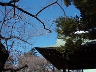 靖国神社 ～千代田のさくらまつり編_c0105785_943398.jpg