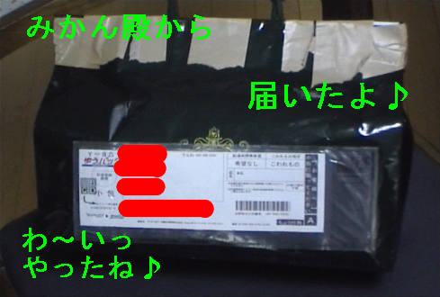 f0123589_14174947.jpg