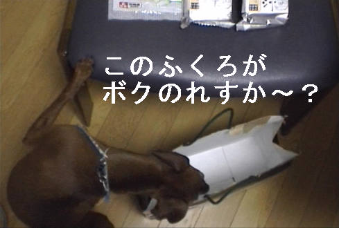 f0123589_14332852.jpg