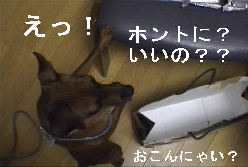 f0123589_14334372.jpg