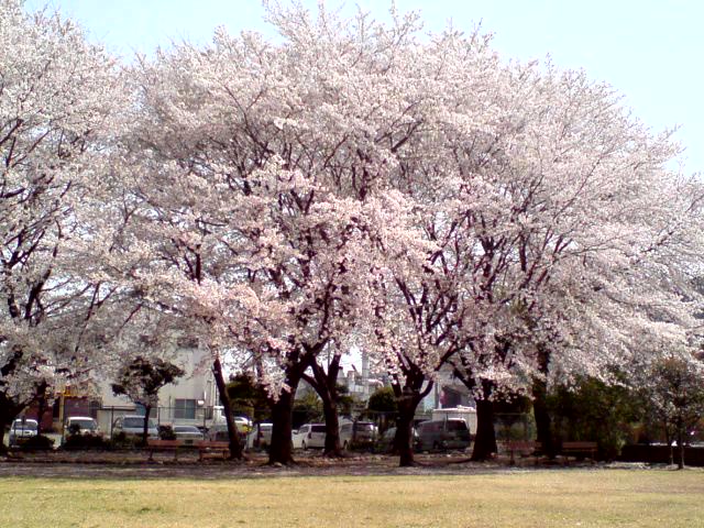 f0103804_20405830.jpg
