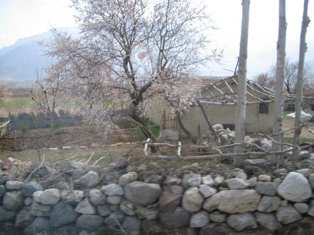 f0102613_6152099.jpg