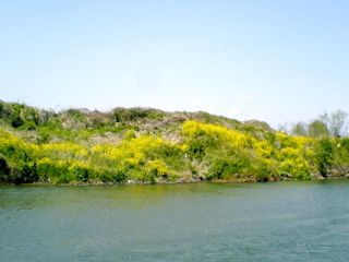 c0087320_13889.jpg