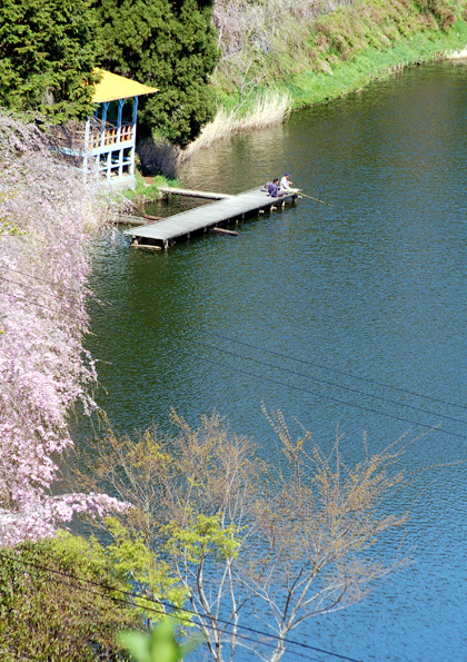 d0072720_21534655.jpg