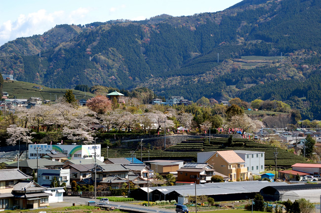 d0072720_21565595.jpg