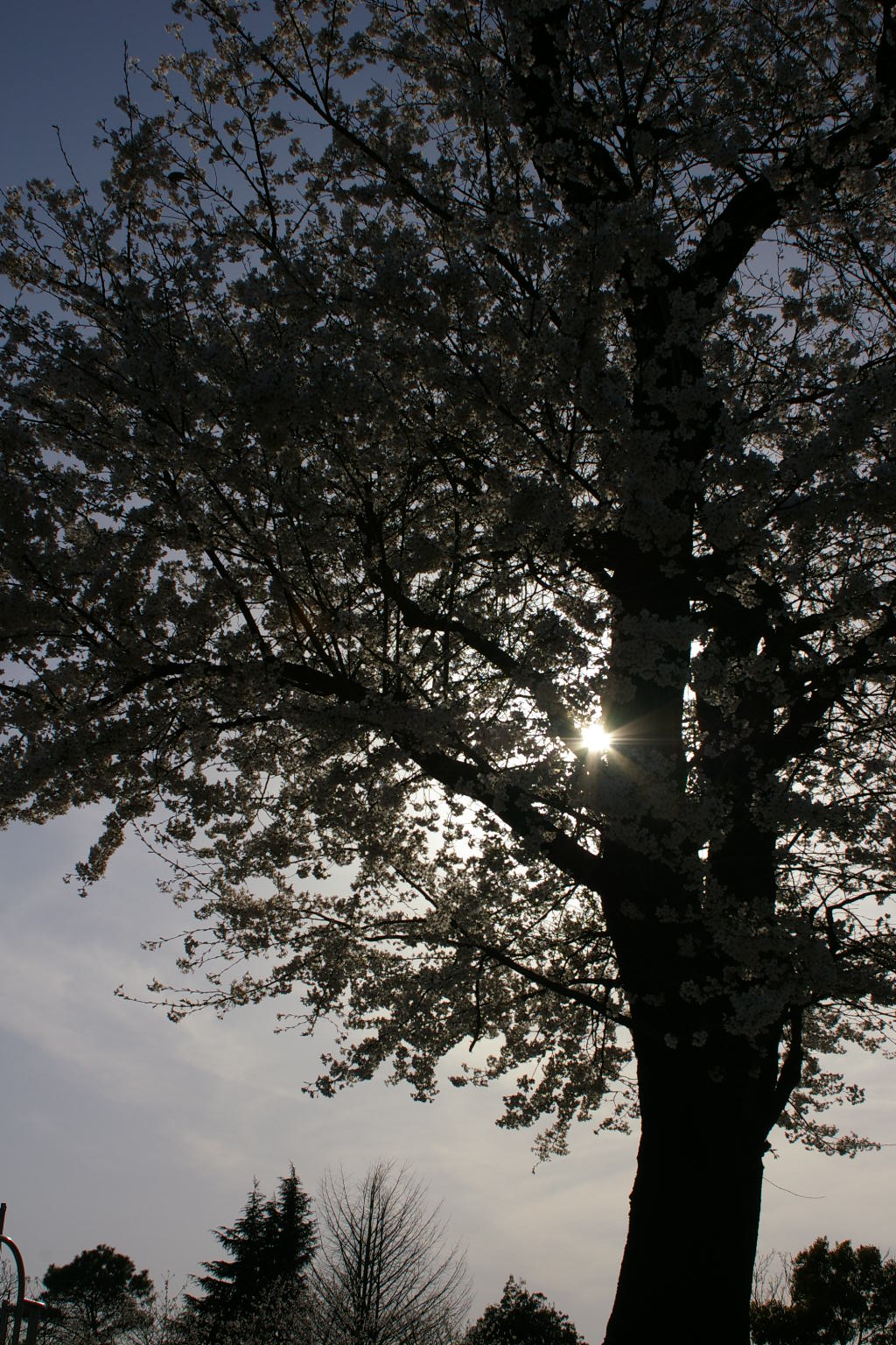 c0107924_22103277.jpg