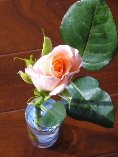 f0013029_7231212.jpg