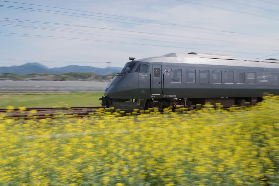 菜の花咲く沿線を行くＪＲ九州_c0005030_18484984.jpg