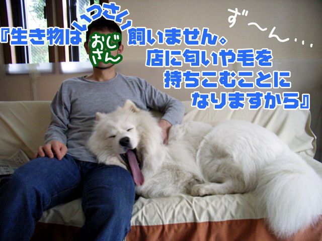 c0062832_28782.jpg