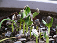 f0108133_23524986.jpg
