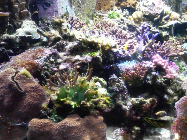 b0098246_12212022.jpg