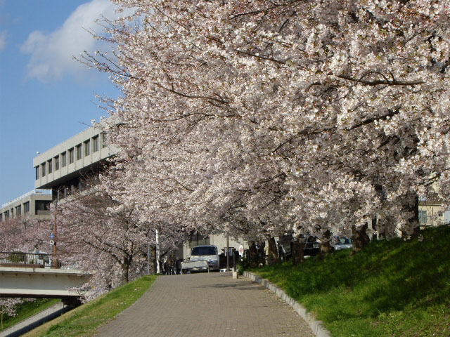 e0098547_37228.jpg