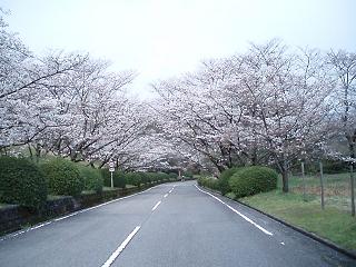 見つけちゃった～(和歌山）_f0064449_71195.jpg