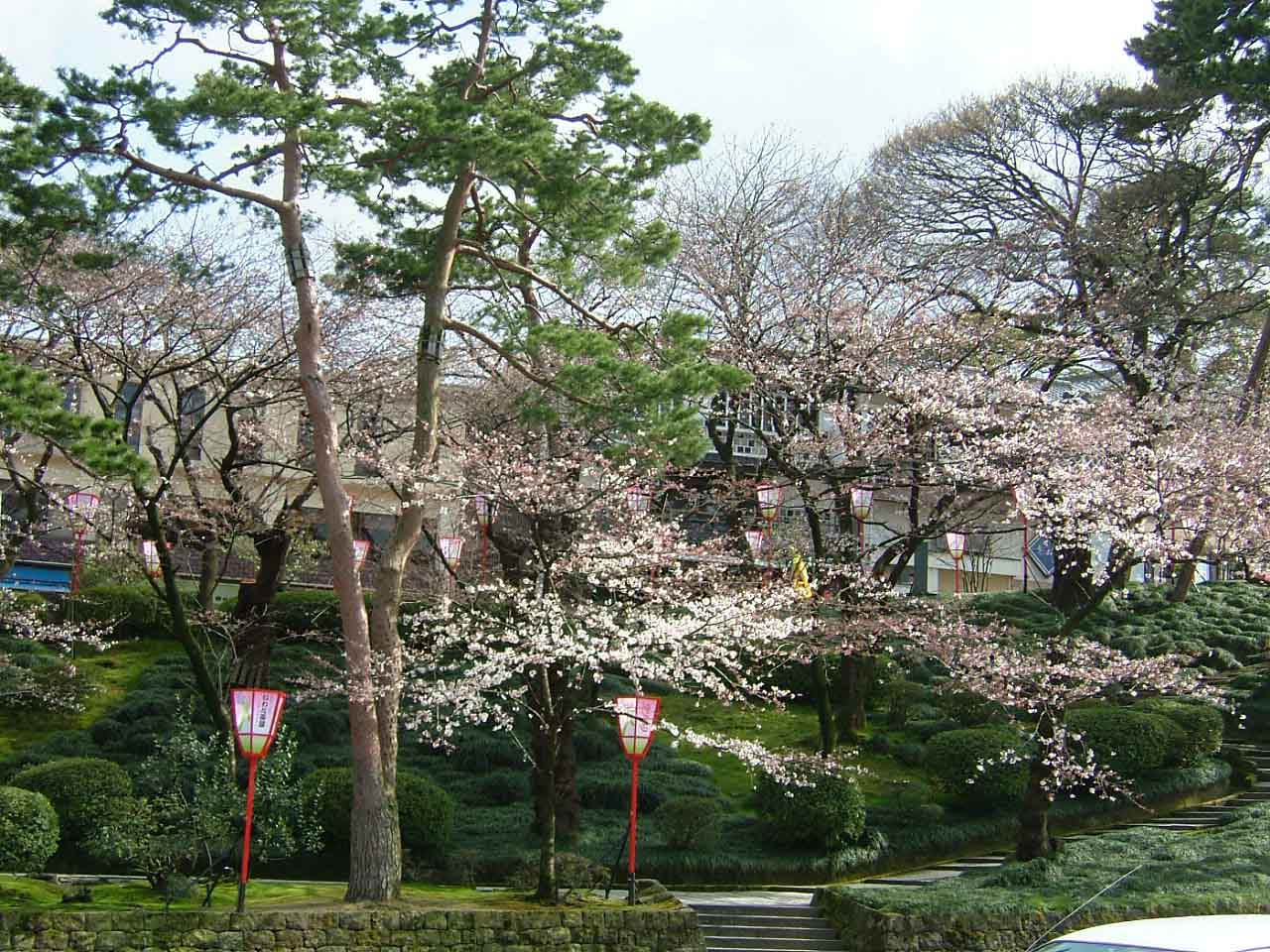 桜がいい感じ_c0110051_16163957.jpg